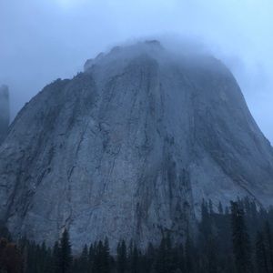 Meet your Posher, Liam